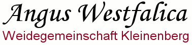 Angus Westfalica Herde - Weidegemeinschaft Kleinenberg